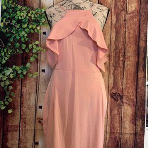 Stunning Blush Dress